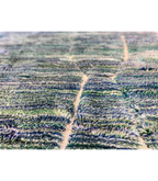 Moroccan Beni Mrirt Wool Rug, 7 ft 5 in × 10 ft 2 in Seafoam Green, Mint & Blue - Cooperative Atma